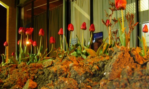 nightgarden nightgarden