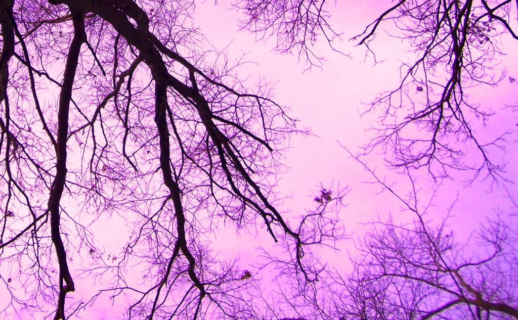 Tentacles - Pinkcropped