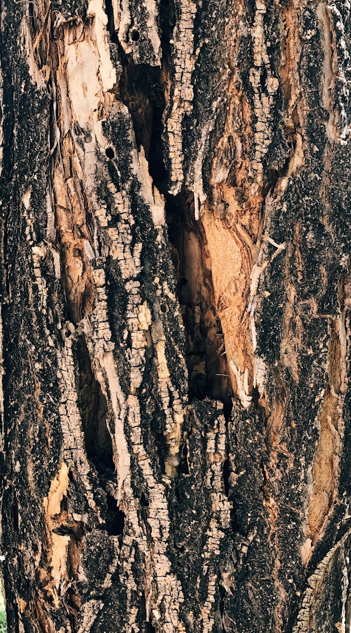 Processed with VSCO with e2 preset